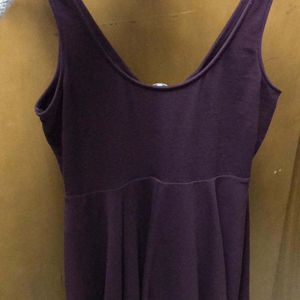 Express Dress - Picture 3 of 3